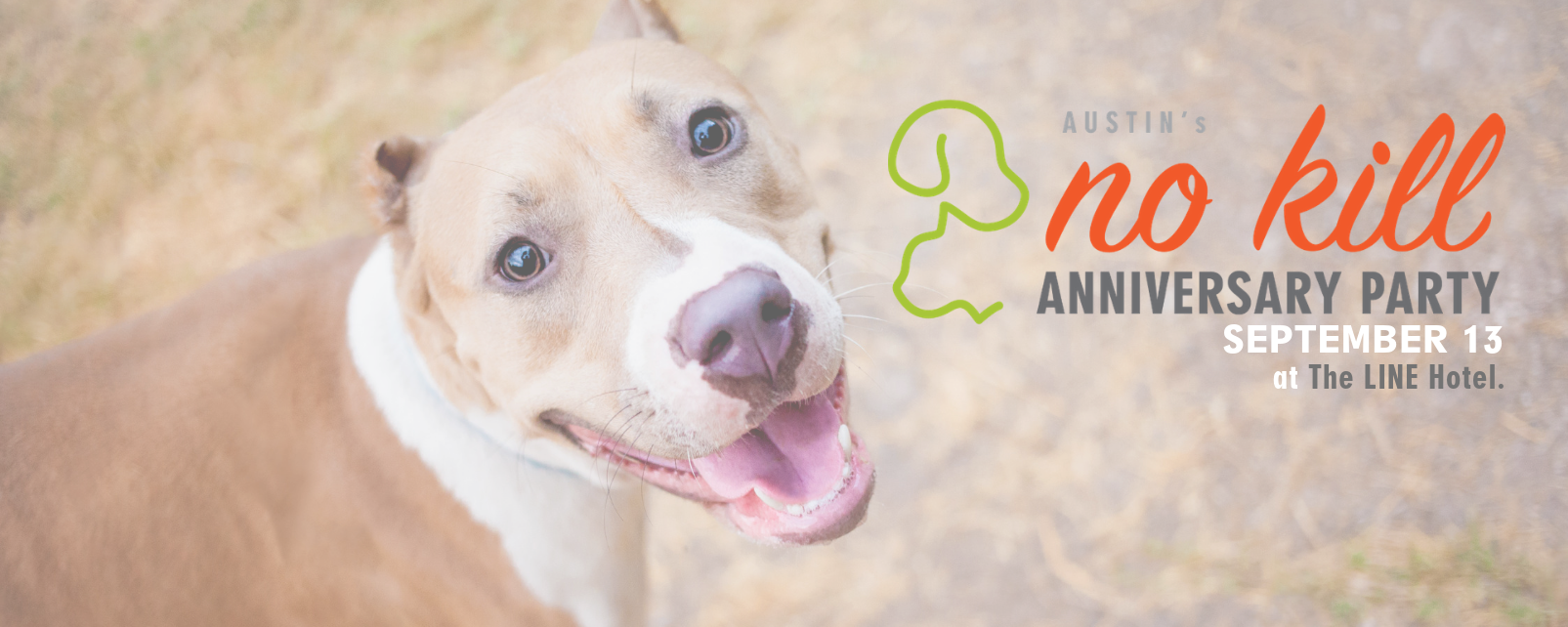 austin pets alive adoption events