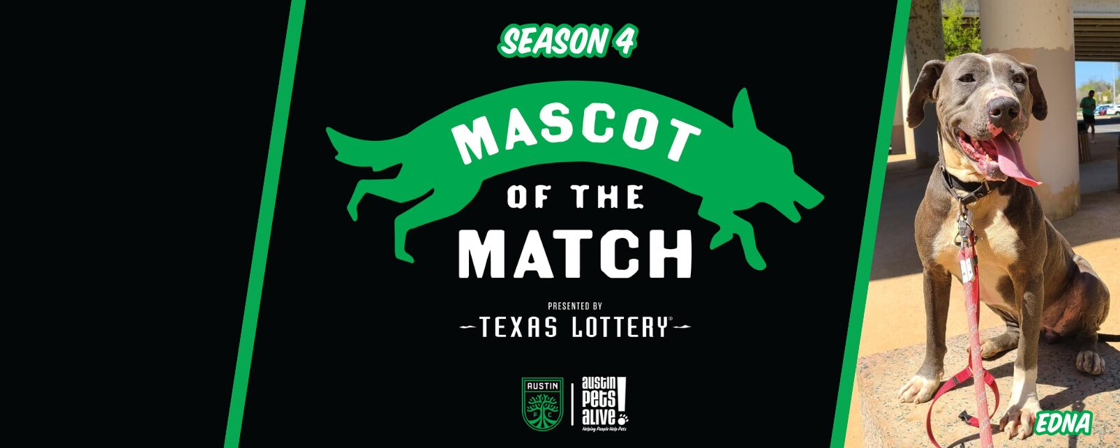 Austin FC Mascot Web Banner8