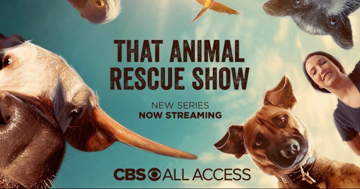 AA AGENCY TARS S1 SO FB 20 1200x628 2 - What That Animal Rescue Show Means to APA!