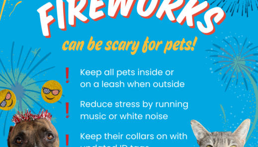 Fireworks Tips Promo