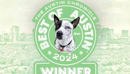 Vote for APA Best of Austin 11